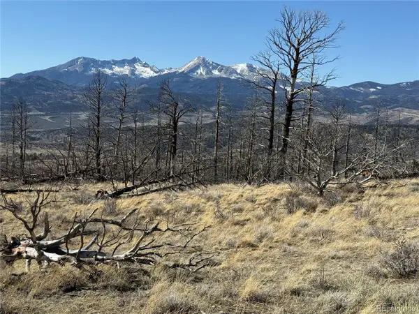 385 Soubry Pl, Fort Garland, CO 81133