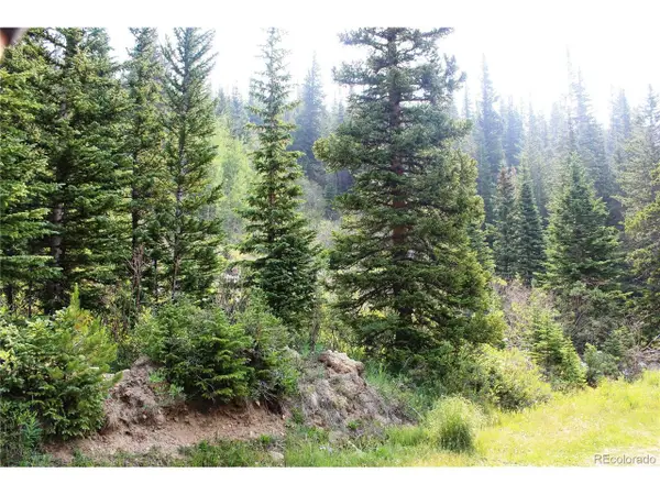 1 Miners Rd, Idaho Springs, CO 80461