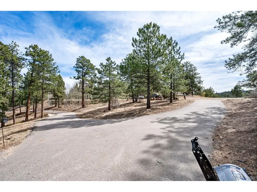 21 Hummingbird Ct, Bailey, CO 80421 - #2