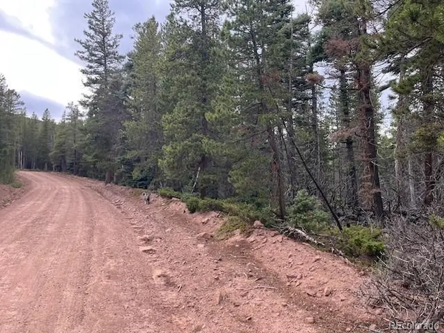 Stickney Lane, Lot 3126, Fort Garland, CO 81133 - #2