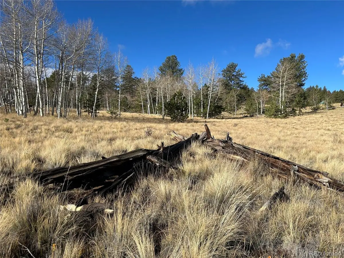 203 Doubletree Ct, Hartsel, CO 80449 - #1