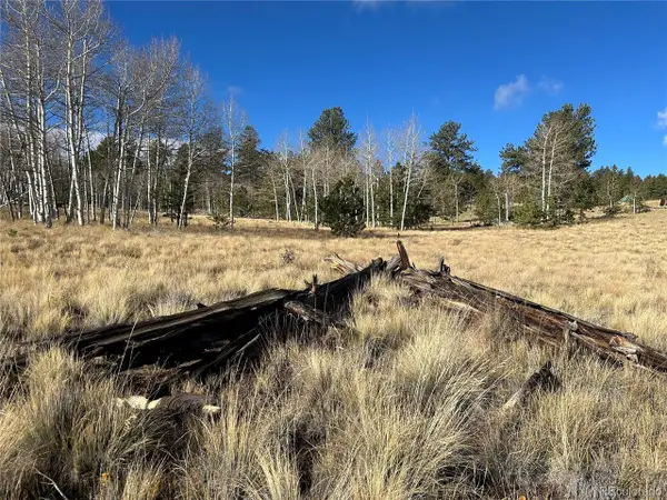 203 Doubletree Ct, Hartsel, CO 80449