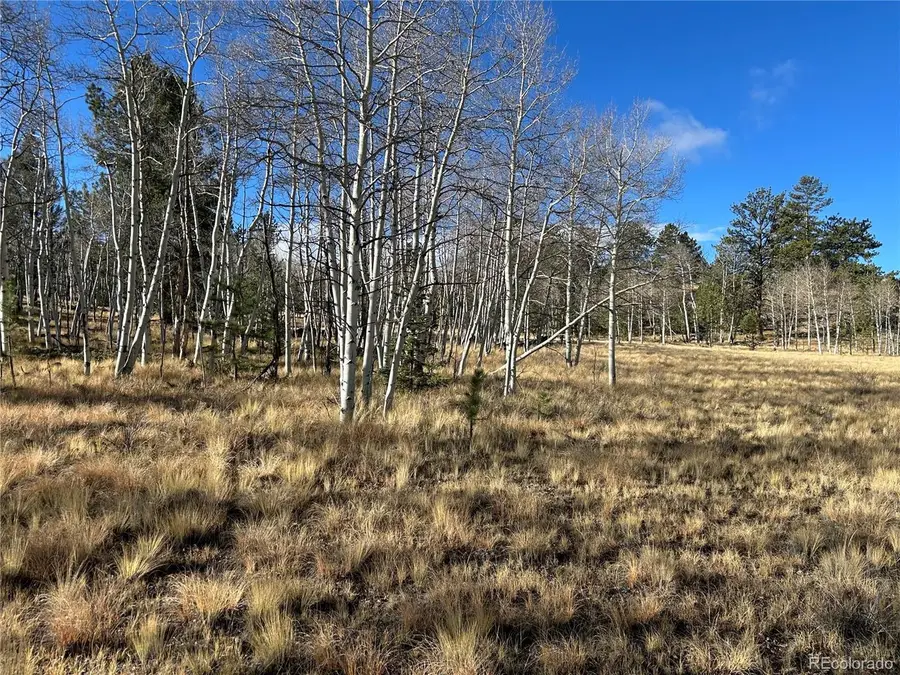 203 Doubletree Ct, Hartsel, CO 80449 - #2