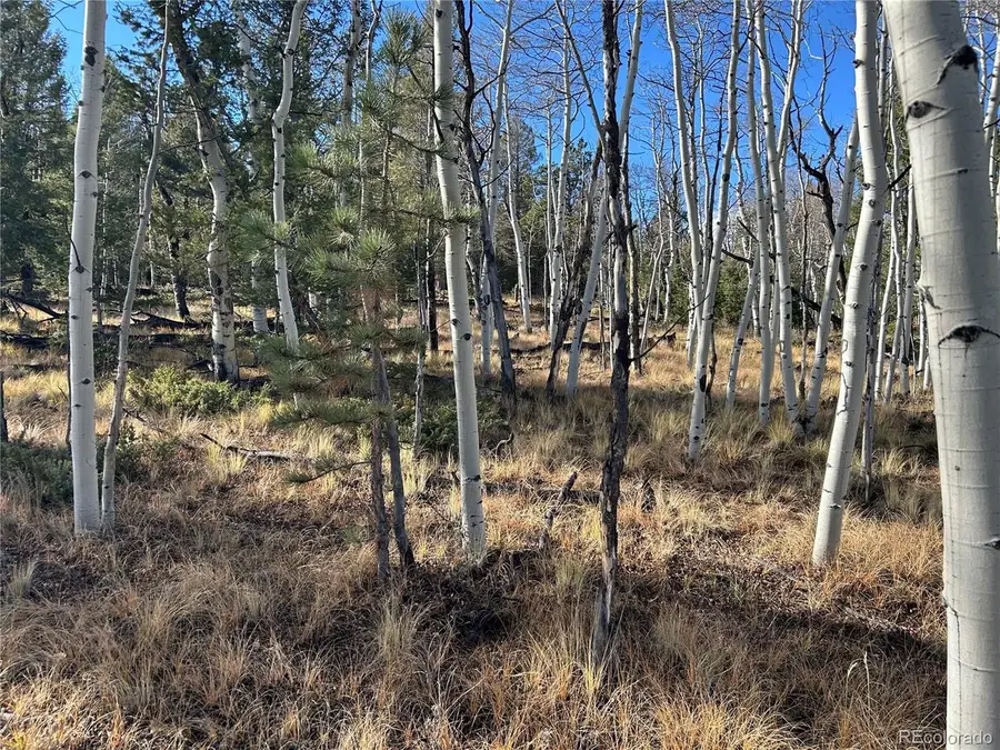 203 Doubletree Ct, Hartsel, CO 80449 - #3