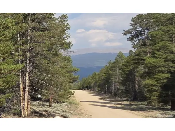 455 Spruce Dr, Leadville, CO 80461