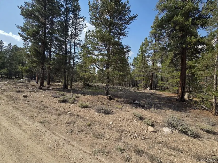 455 Spruce Dr, Leadville, CO 80461 - #2