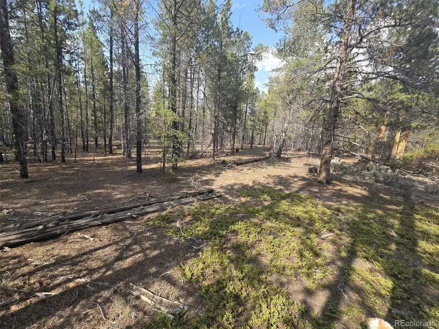 455 Spruce Dr, Leadville, CO 80461 - #3