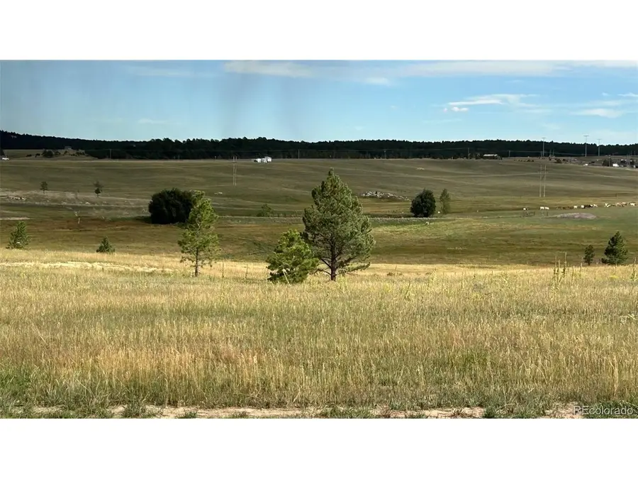 18831 Cherry Springs Ranch Dr, Monument, CO 80132 - #2