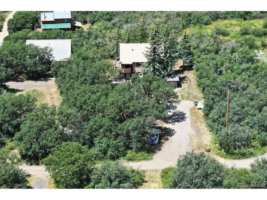 15699 Aspen Glenn Ln, Collbran, CO 81624 - #3