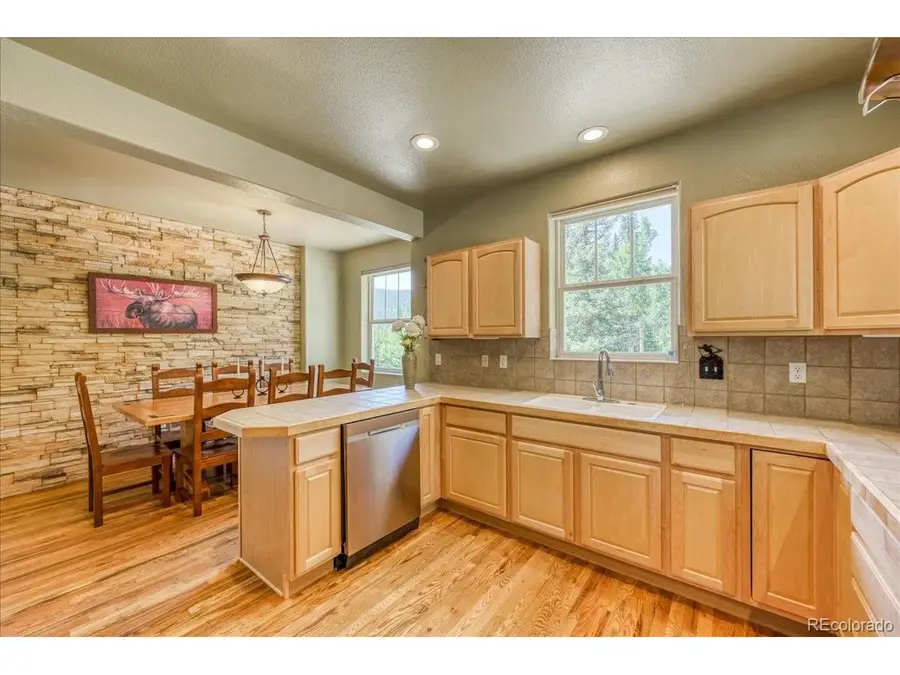 234 Peterson Dr, Fairplay, CO 80440 - #3