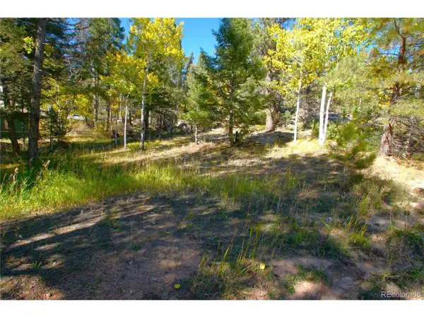 30589 Hood Rd, Conifer, CO 80433