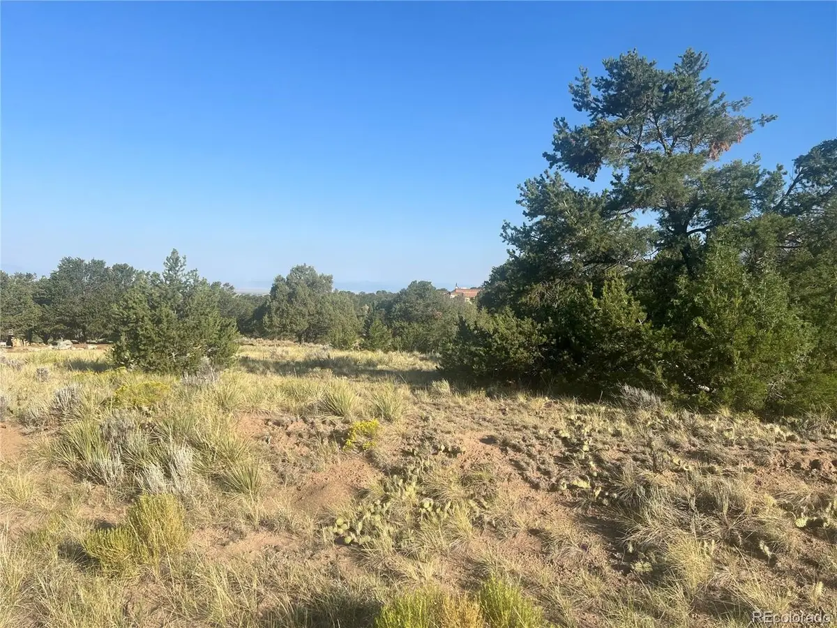 4292 Fallen Tree Overlook, Crestone, CO 81131 - #1