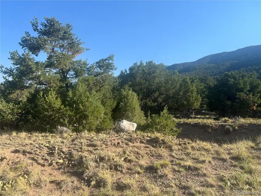 4292 Fallen Tree Overlook, Crestone, CO 81131 - #2
