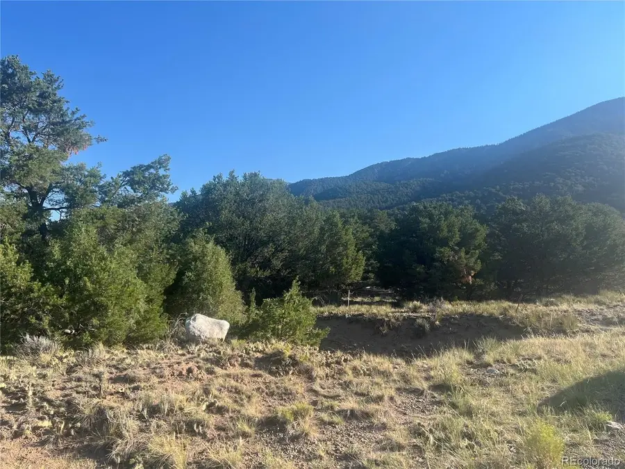 4292 Fallen Tree Overlook, Crestone, CO 81131 - #3