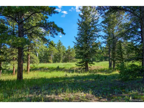 103 Juniper Rd, Black Hawk, CO 80422