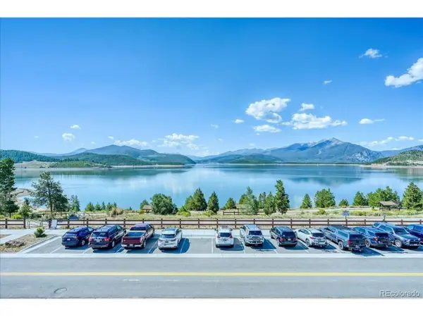 311 W La Bonte St #304, Dillon, CO 80435