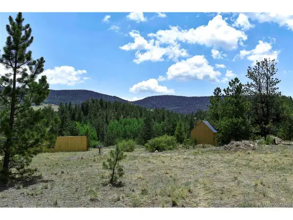 376 Copeland Rd, Guffey, CO 80820