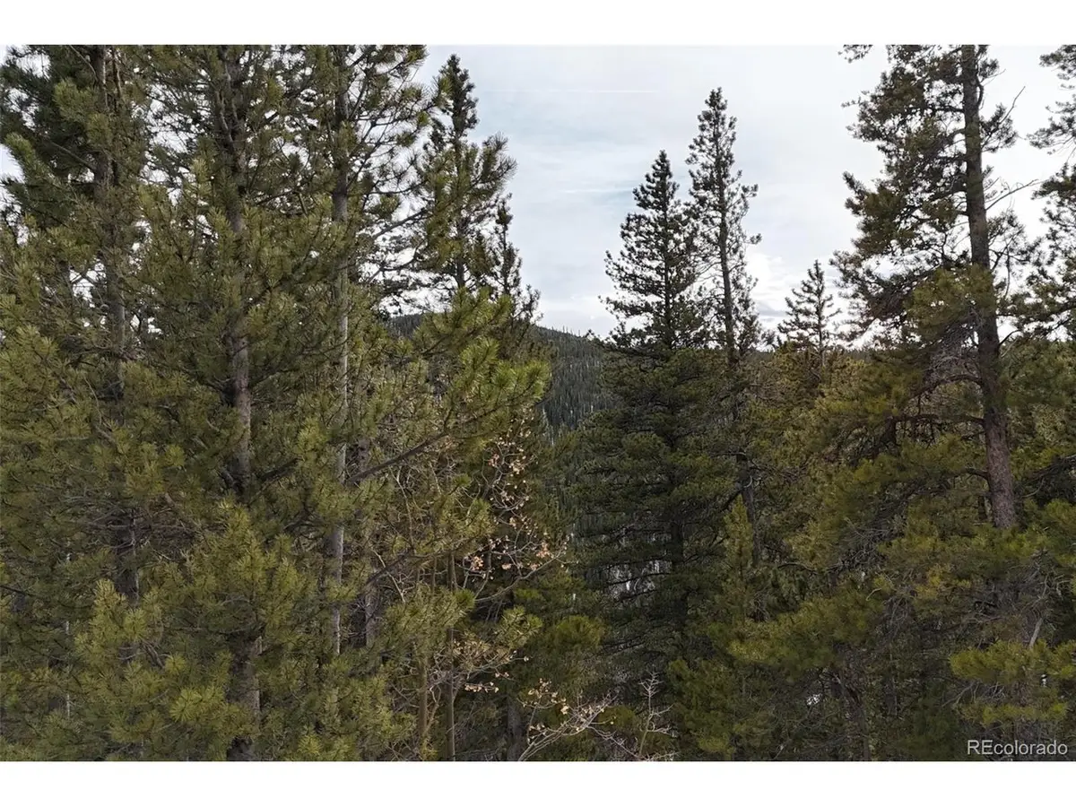 Address Withheld By Seller, Idaho Springs, CO 80452 - #1