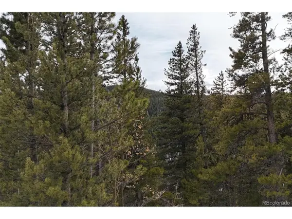 Address Withheld By Seller, Idaho Springs, CO 80452