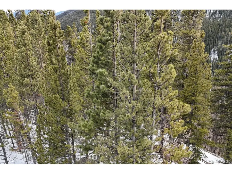 Address Withheld By Seller, Idaho Springs, CO 80452 - #3