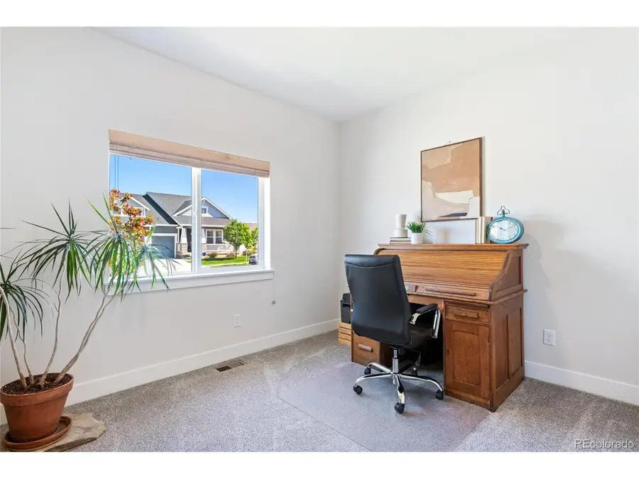 1631 Kit St, Windsor, CO 80550 - #3