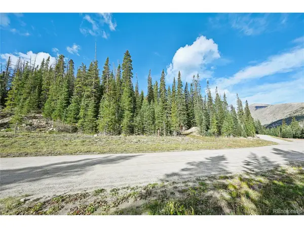 159 Hamilton Ln, Breckenridge, CO 80424
