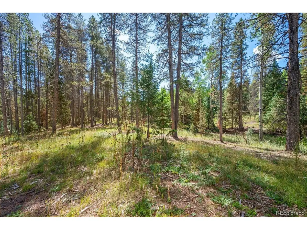 1 Lot 12 Indian Springs Rd, Conifer, CO 80433 - #1