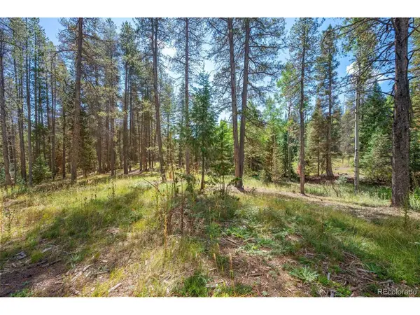 1 Lot 12 Indian Springs Rd, Conifer, CO 80433