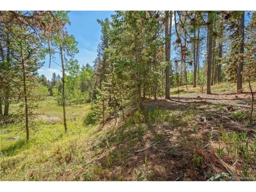 1 Lot 12 Indian Springs Rd, Conifer, CO 80433 - #2