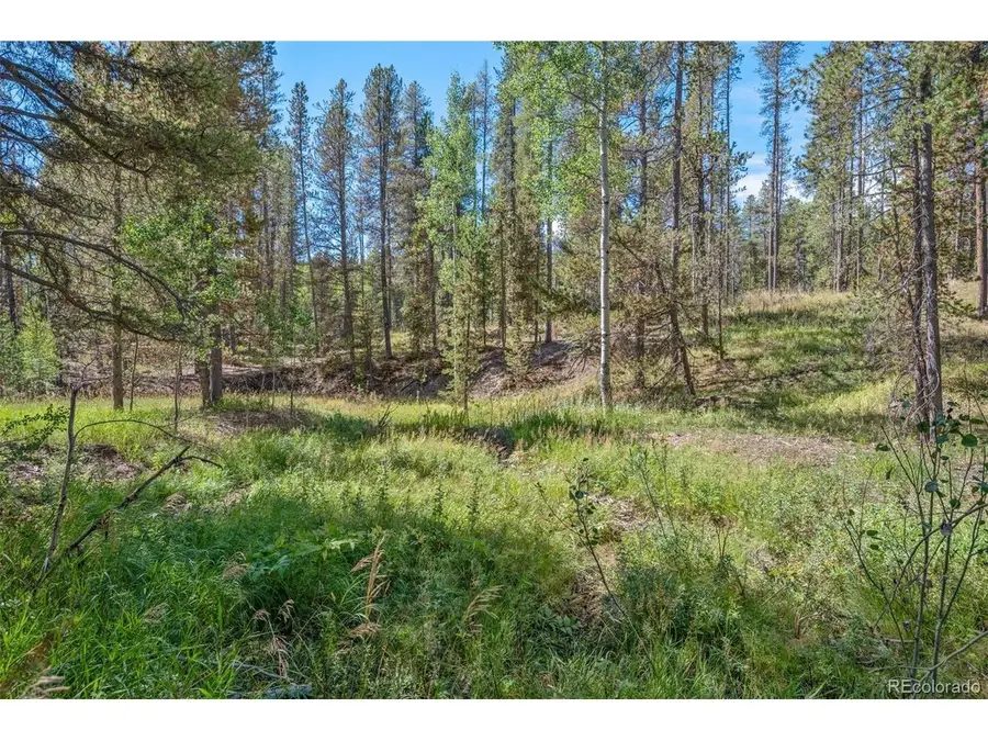 1 Lot 12 Indian Springs Rd, Conifer, CO 80433 - #3