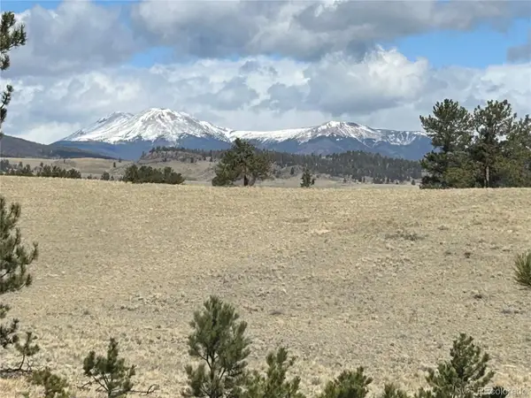 517 Brahma Cir, Hartsel, CO 80449