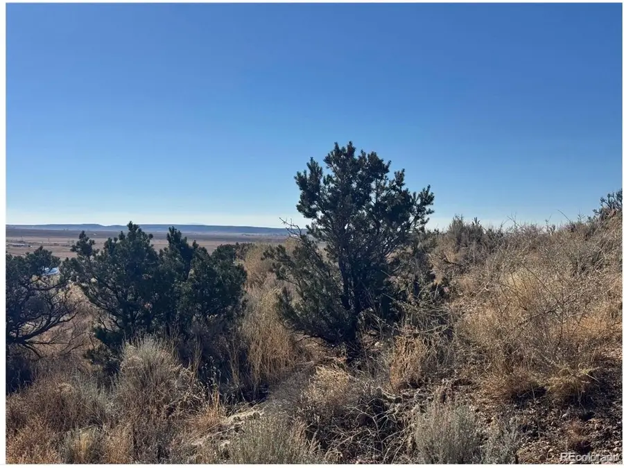 2446 Zuni Rd, Fort Garland, CO 81133 - #3