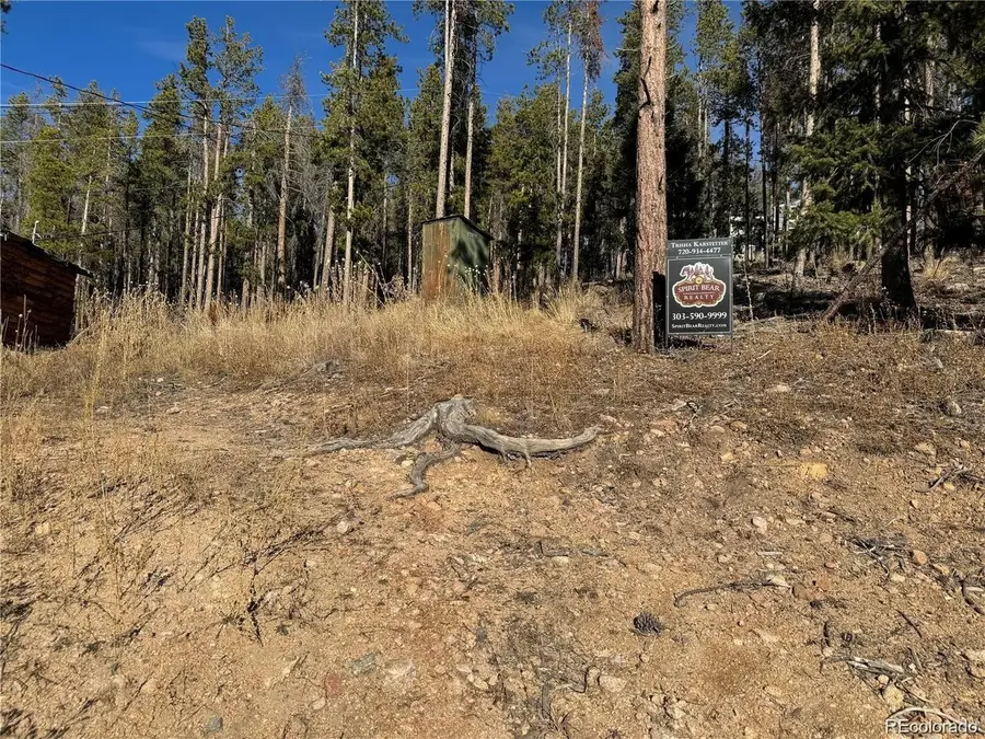 Pleasant Park Rd, Conifer, CO 80433 - #3