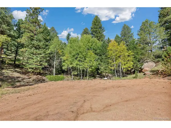 926 Pinon Ln, Florissant, CO 80816