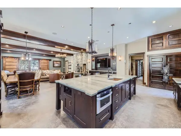 2971 Fall River Rd, Idaho Springs, CO 80452