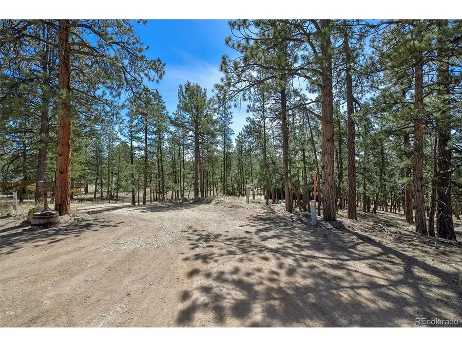 42 Hannah Cir, Westcliffe, CO 81252 - #2