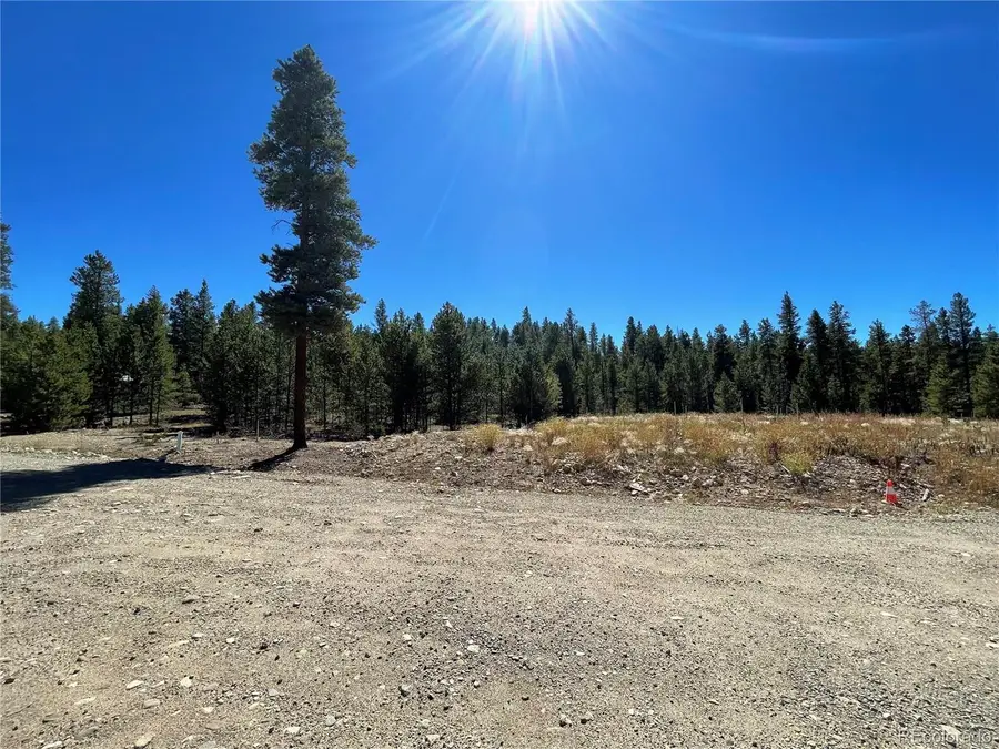 451 Virginia Ave, Leadville, CO 80461 - #3