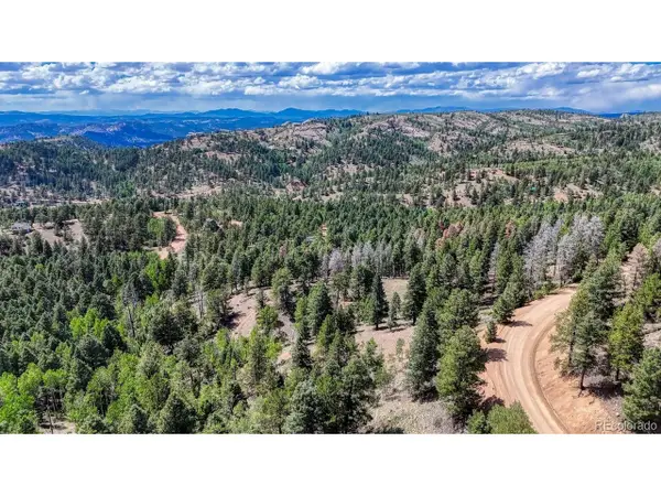 783 Bennett Dr, Cripple Creek, CO 80813