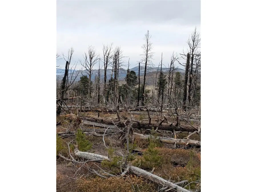 2301 Wohlstetter Loop, Fort Garland, CO 81133 - #2