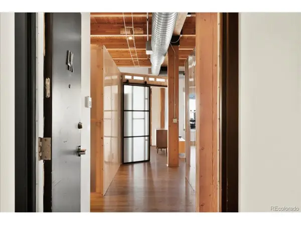 2955 Inca St #4K, Denver, CO 80202