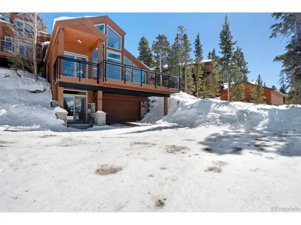 160 N Fuller Placer Rd, Breckenridge, CO 80424