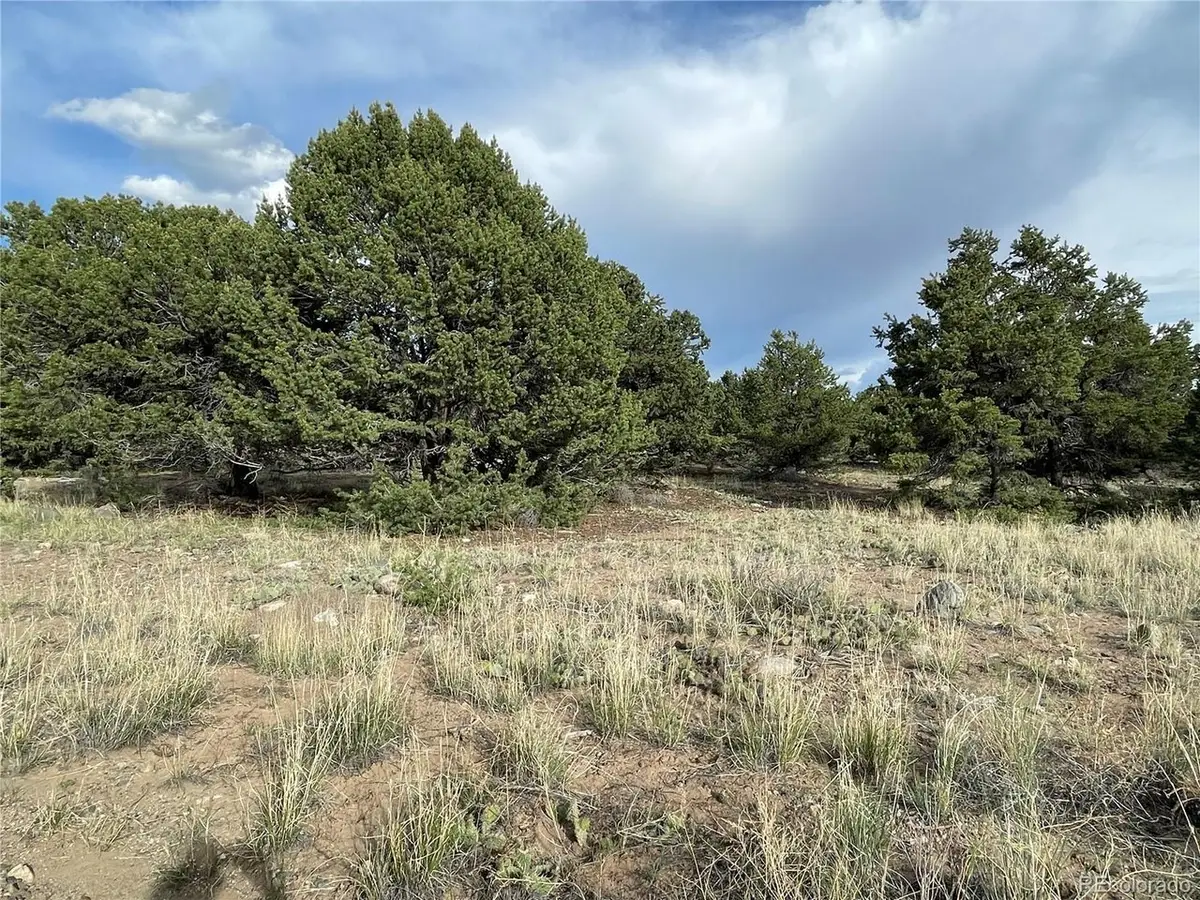 3383 Genial Way, Crestone, CO 81131 - #1