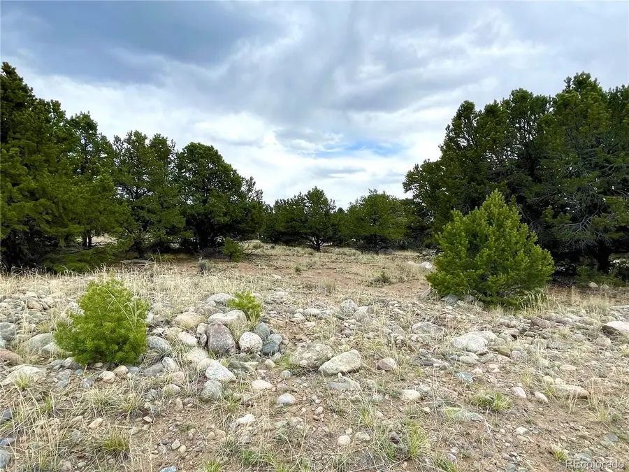 3383 Genial Way, Crestone, CO 81131 - #3