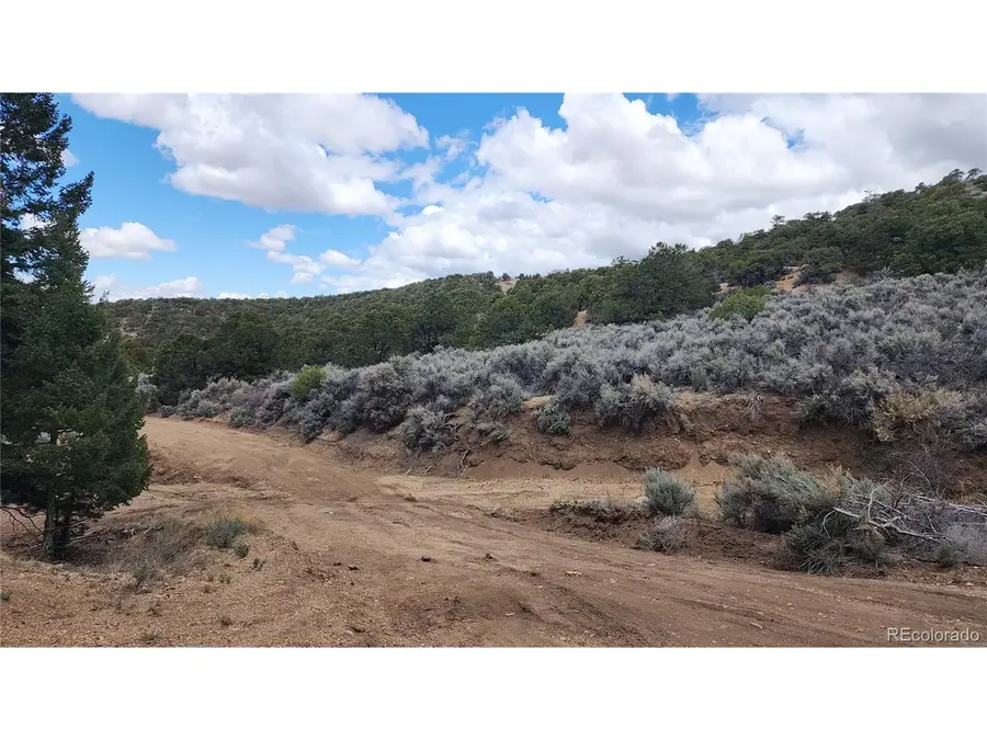 7430 Waligunda Rd, Fort Garland, CO 81133 - #3