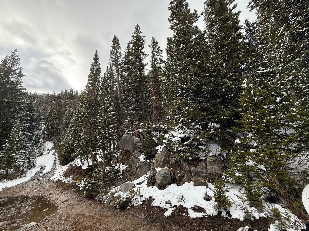 14 Mine Rd, Idaho Springs, CO 80452 - #1