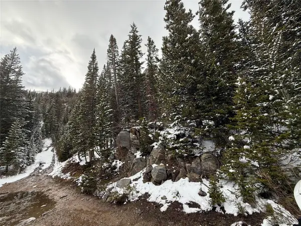 14 Mine Rd, Idaho Springs, CO 80452