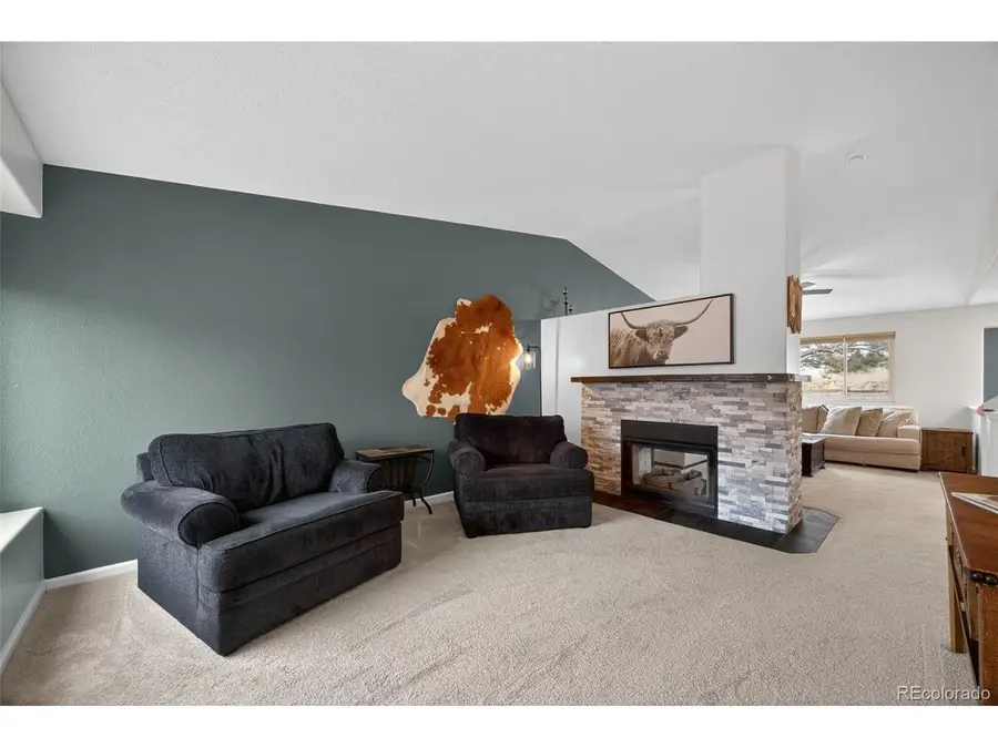 11306 Rodeo Cir, Parker, CO 80138 - #3