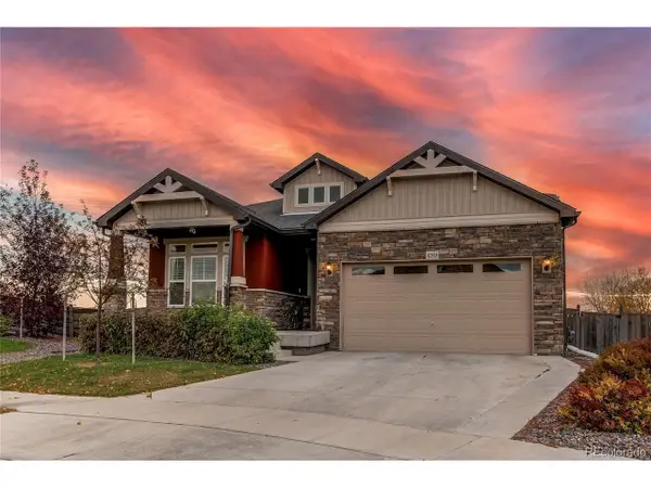 10303 Pitkin Ct, Commerce City, CO 80022