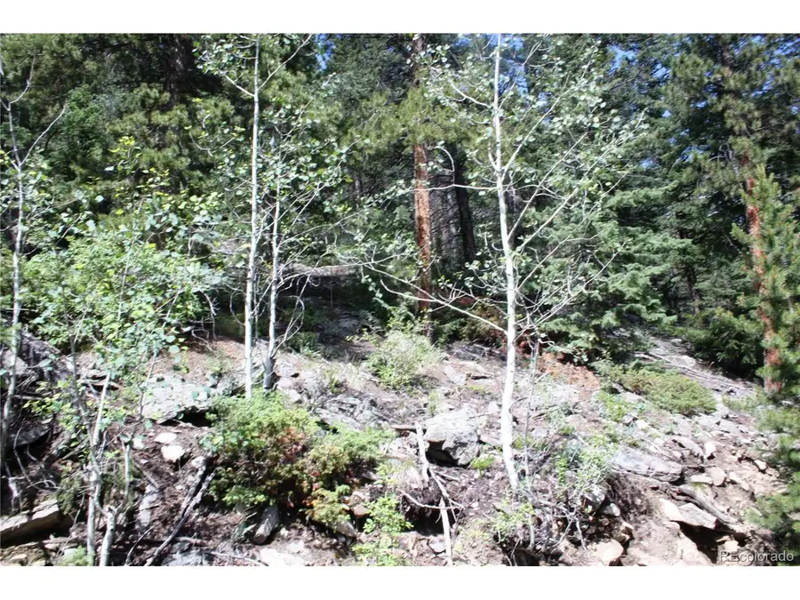 200 Two Brothers Rd, Idaho Springs, CO 80452 - Image #3