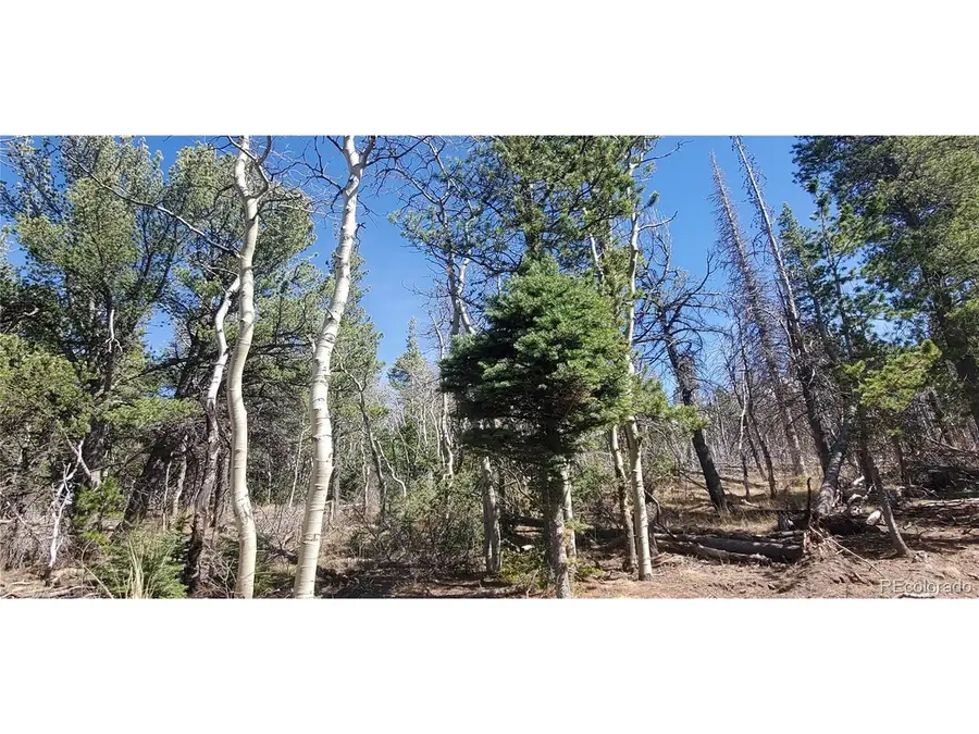 2560 Grojean Dr, Fort Garland, CO 81133 - #2